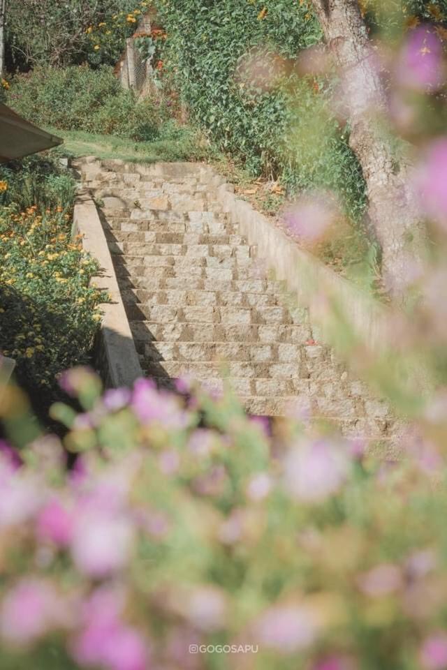 Biet Thu Trang Da Lat Villa Exteriör bild